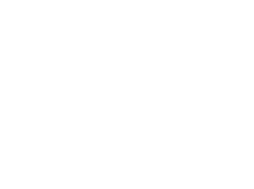 White Logo